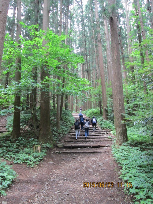 弥彦登山に行ってきました♪ ～登山いろいろ編～