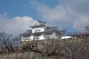 【岡山】遠くから・・・