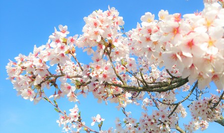 【岡山】新年度のスタート☆