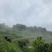 【岡山】雨とパンとドライブ