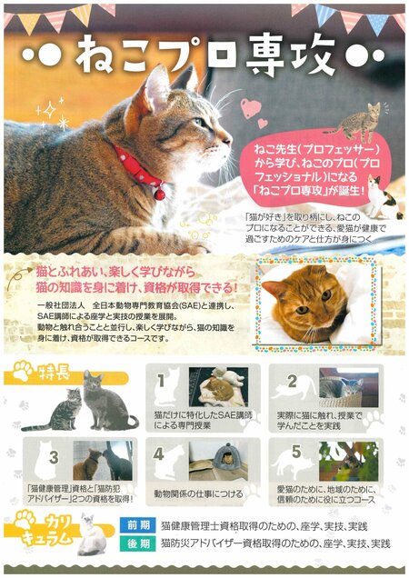 【岡山】ねこプロ専攻😺💖