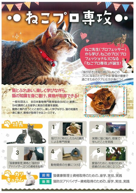 【岡山】猫好き集合💕『ねこプロ専攻😻』