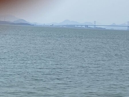 IMG_1527.jpg