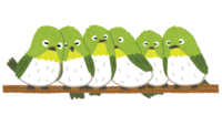 bird_mejiro_oshi.png