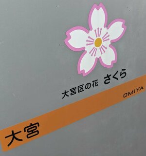 大宮区の花は桜.jpg