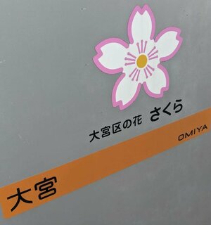 【大宮東口】大宮区の花は桜・・・🌸🌸🌸