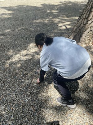 【大宮東口】線密画を描くための葉っぱ採取に行きました🍂