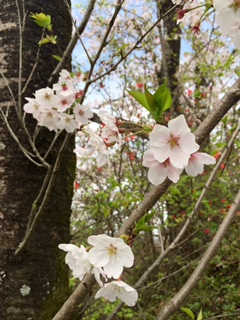 ☆４月の体験授業☆