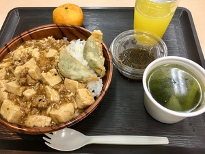 初日の夕食 マーボー.jpg