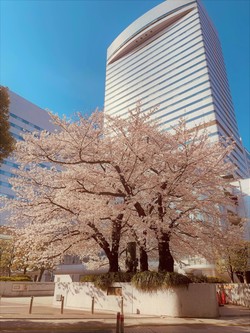 【大宮】もうすぐ新年度が始まります