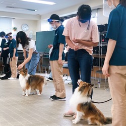 【大宮】本物のわんちゃんの大群あらわる！