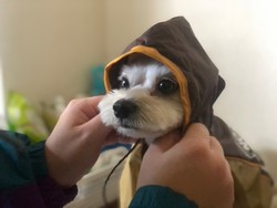 【大宮】「雨降りのお出かけ」 ～カフェに出かけました　～