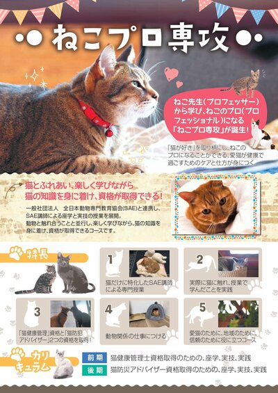 【大宮】＼またまた新コース！！「ねこプロ専攻」始まる！／