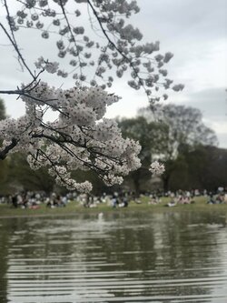 【大宮】花より団子？？