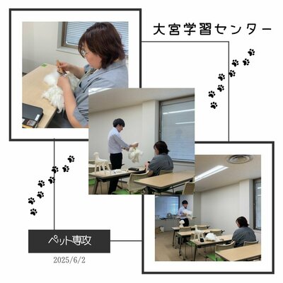 ペット専攻1.jpg