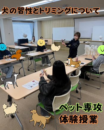 ペット専攻 体験授業.png