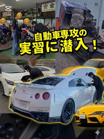 Gemini_Generated_Image_83ql5z83ql5z83ql (1).png