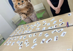 名称未設定のデザイン (12).png