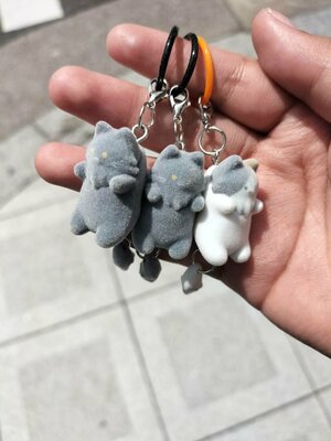 【大阪心斎橋校】「Rさん兄妹」キャンパス生の放課後をご紹介🐈