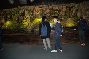 【なんば】校外学習♪京都水族館に行きました！