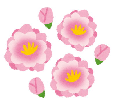 flower_momo.png