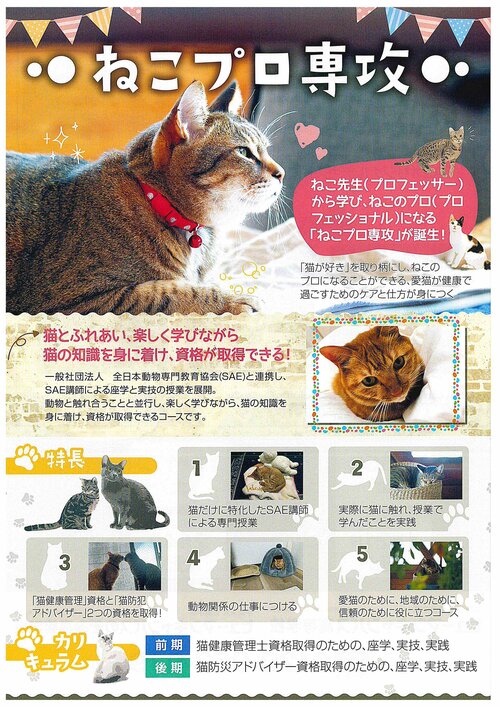 【なんば】ねこのプロになりませんか？