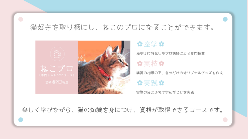 ねこ.png