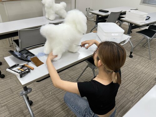 【なんば】カット練習をしました🐶