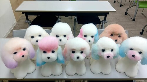 【なんば】色とりどりのワンちゃん大集合🐶