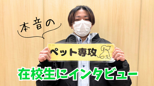 【なんば】在校生インタビュー🎤ペット専攻の魅力とは🐶
