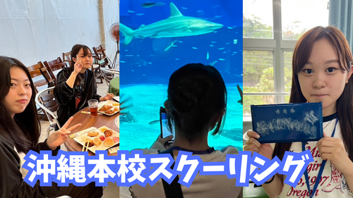 【なんば】一生の思い出！本校スクーリングの魅力を大公開🌺✈️