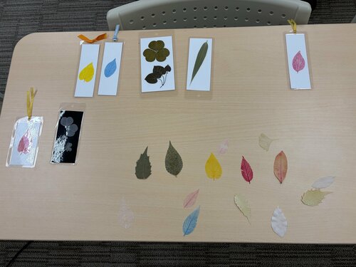 Image_20260528_午後54708_776.jpeg