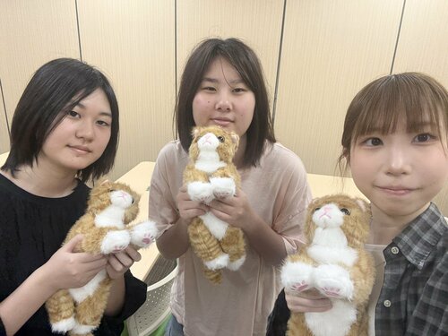 【なんば】ねこプロ✨可愛いぬいぐるみを授業で使いました🐱
