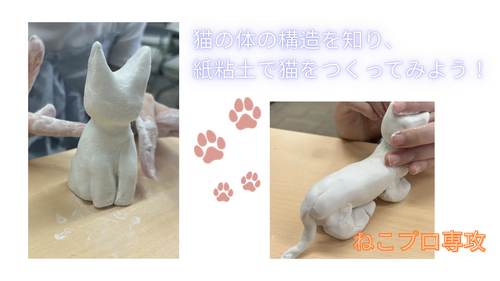 猫の体の構造を知 ろう そして、紙粘土で猫をつくってみよう！.png