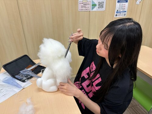 Image_20260825_153743_161.jpeg