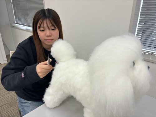 Image_20261006_144131_830.jpeg