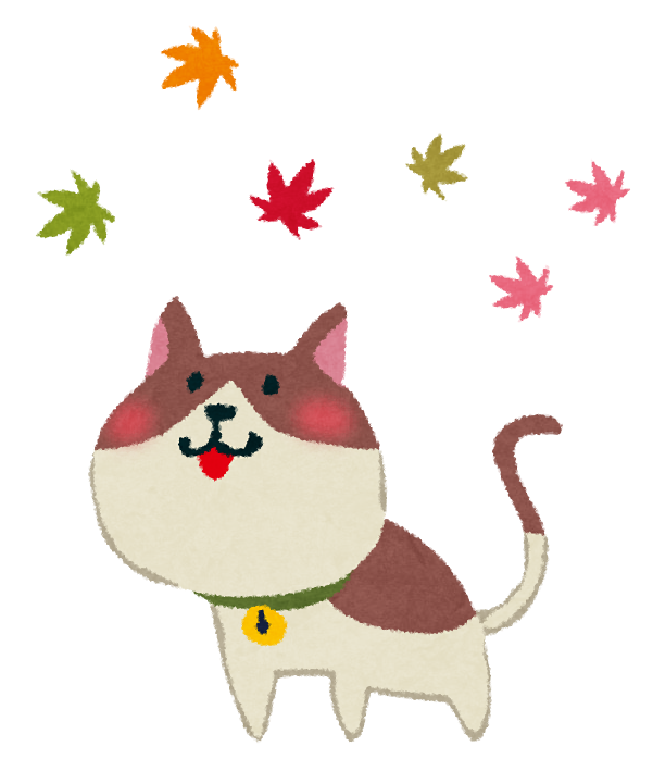 kouyou_cat.png