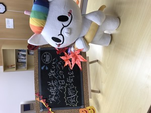 【札幌大通】広報部長ひゅーにゃん！！！！！！！