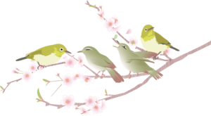 鶯 83325.png