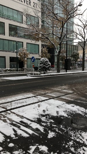 【札幌大通】本日の登校につきまして