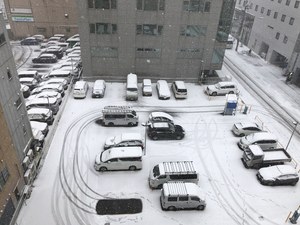 【札幌大通】11月25日、本日の登校につきまして