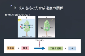 【札幌大通】zoom学習サポートやってますよ！その３