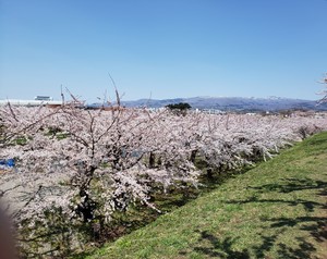 【札幌大通】はじめまして！