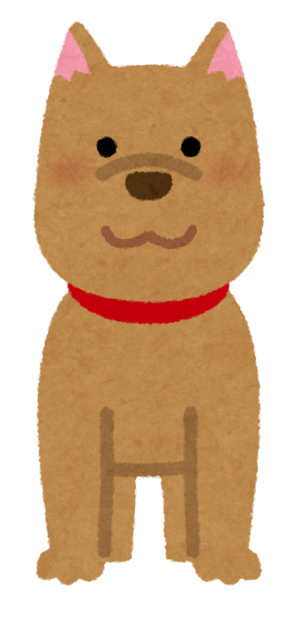 animal_dog_front.png