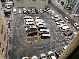【札幌大通】雪が降りました☃