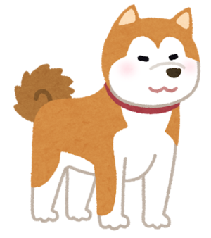 dog_akitainu.png