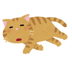 pet_darui_cat.png