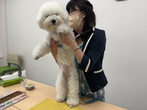 【札幌大通】★ペット専攻★～動物に関わるお仕事体験～