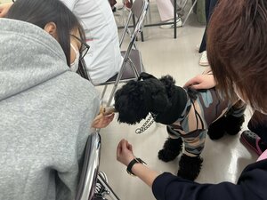 【札幌大通】★ペット★～入院中のわんちゃんのために～