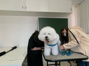 【札幌大通】専門チャレンジコース「ペット専攻授業」part2✨